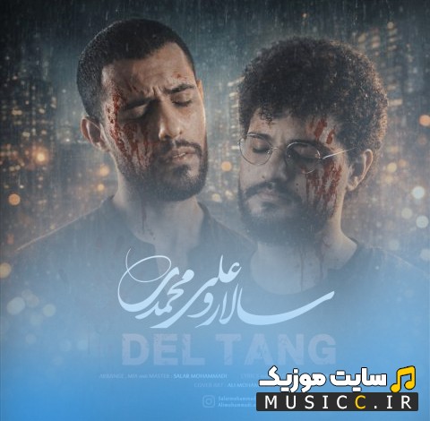 دانلود آهنگ سالار و علی محمدی به نام دل تنگ نسخه کامل